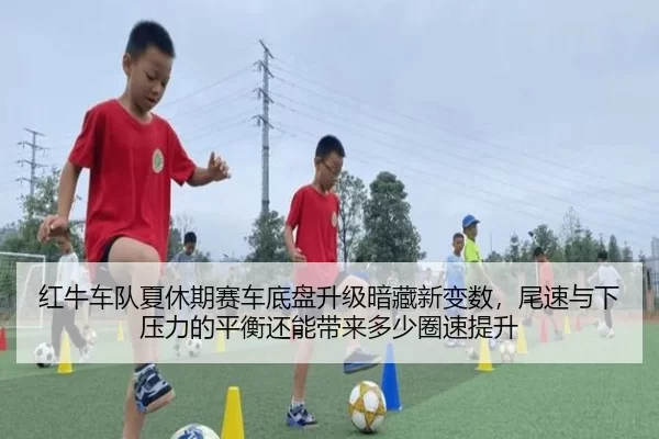 hong-niu-che-dui-xia-xiu-qi-sai-che-di-pan-sheng-ji-an-cang-xin-bian-shu-wei-su-yu-xia-ya-li-de-ping-heng-hai-neng-dai-2-175.jpg